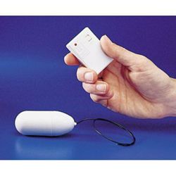 Remote Control Egg