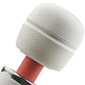 adam eve massaging vibrator 2