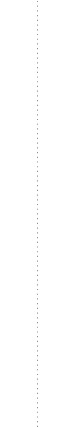 dotted line
