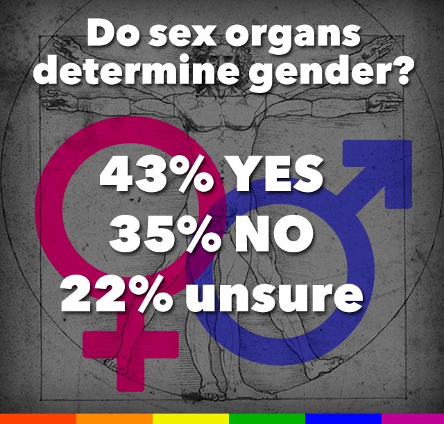 LGBTQ infographic