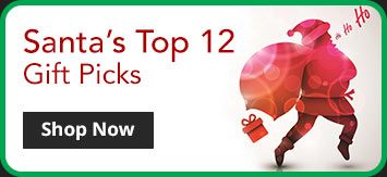 santa's top 12 gift picks