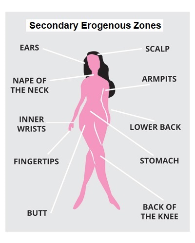 erogenous zones diagram