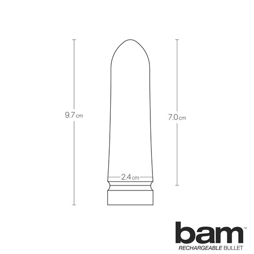 Bam Rechargeable Bullet infogram