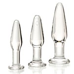 Glass Anal Training Kit showing all 3