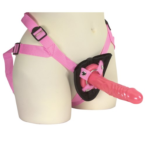Pink Harness With Stud on display
