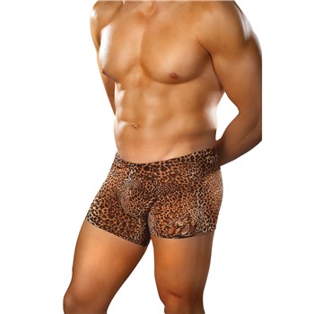 Brown Leopard Shorts front