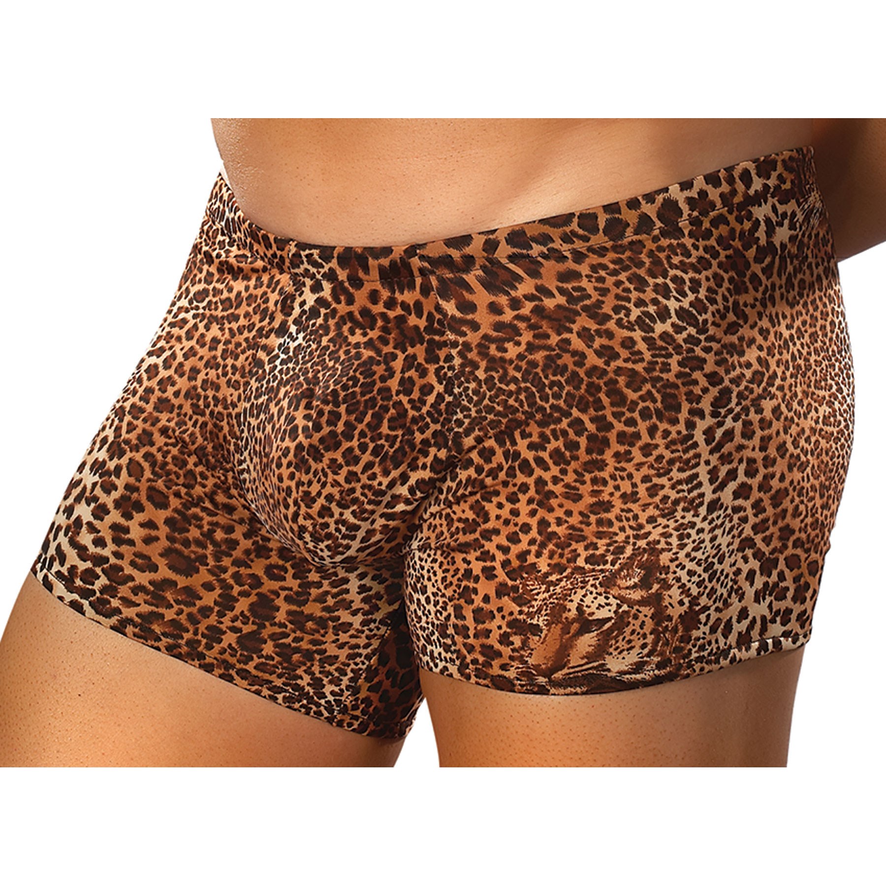 Brown Leopard Shorts close up 