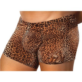 Brown Leopard Shorts close up 
