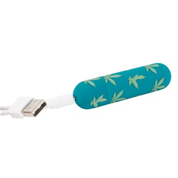 Jessi Rechargeable Bullet teal