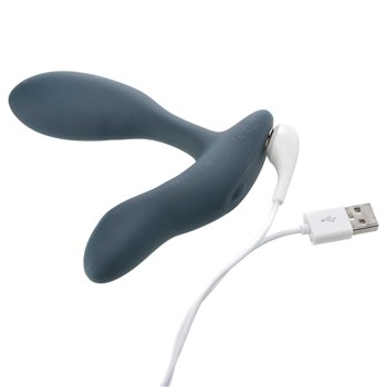 we-vibe vector with USB charger