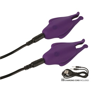 Nipple Play Rechargeable Nipplettes Clamps Showing How to Charge