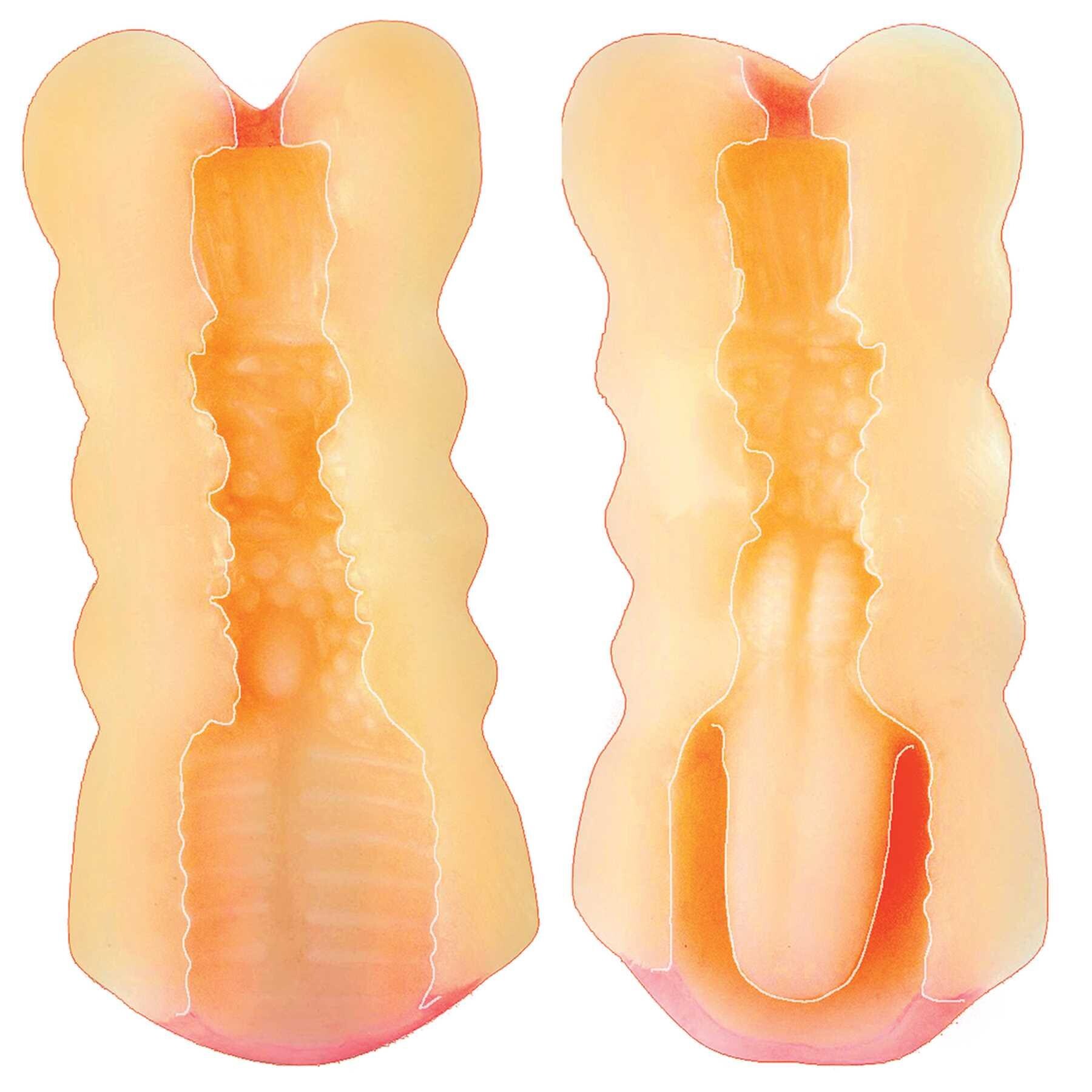A2M Dual Ended Masturbator inset showing canal textures