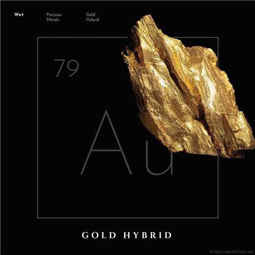 E485 WET GOLD HYBRID LUBRICANT data 2