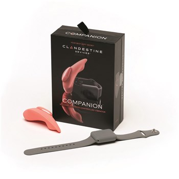 Clandestine Companion Remote Control Panty Vibrator Product and Packaging #1