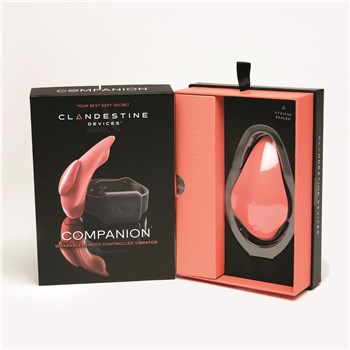 Clandestine Companion Remote Control Panty Vibrator Open Box