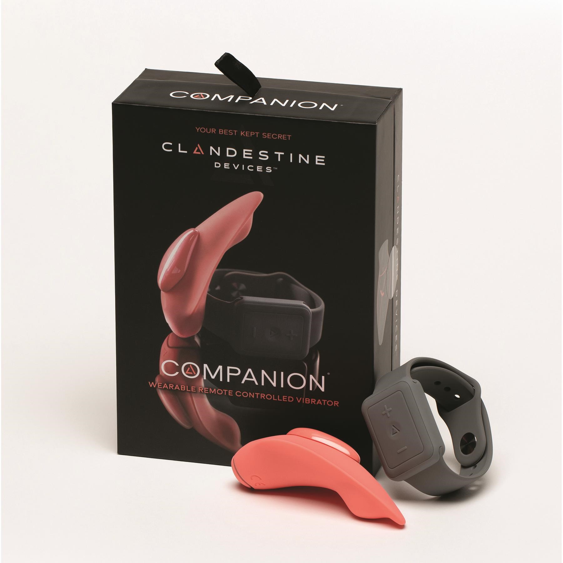 Clandestine Companion Remote Control Panty Vibrator Product and Packaging #2