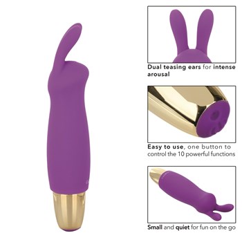 Slay #BuzzMe Rabbit Vibrator - Instructions