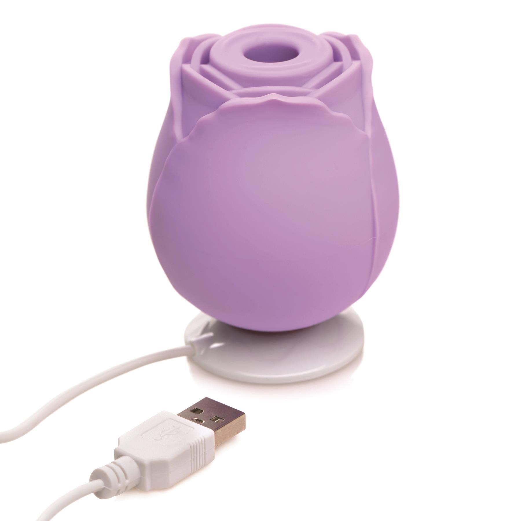 Bloomgasm Suction Rose Clitoral Stimulator Showing How to Charge - Purple