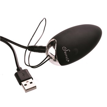 Secrets Open Back Lace Panty and Rechargeable Love Egg-Vibe Showing Where Charging Cable is Placed