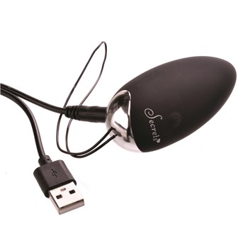 Secrets Low Rise Lace Panty & Rechargeable Love Bullet-Vibe Showing Where Charging Cable is Placed