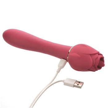 Rosegasm Lingo Dual Ended Clitoral Vibrator - Showing Where Charging Cable is Placed