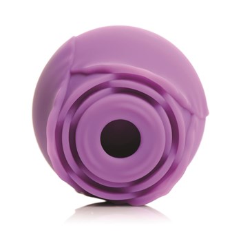 Gossip Come Into Bloom Rose Clitoral Stimulator - Product Shot - Front - Purple