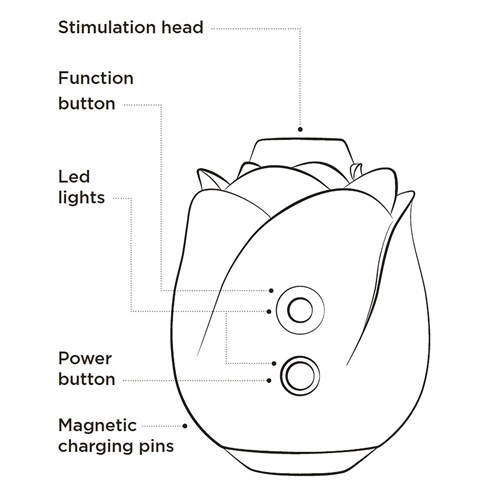 Romp Rose Clitoral Stimulator - Instructions