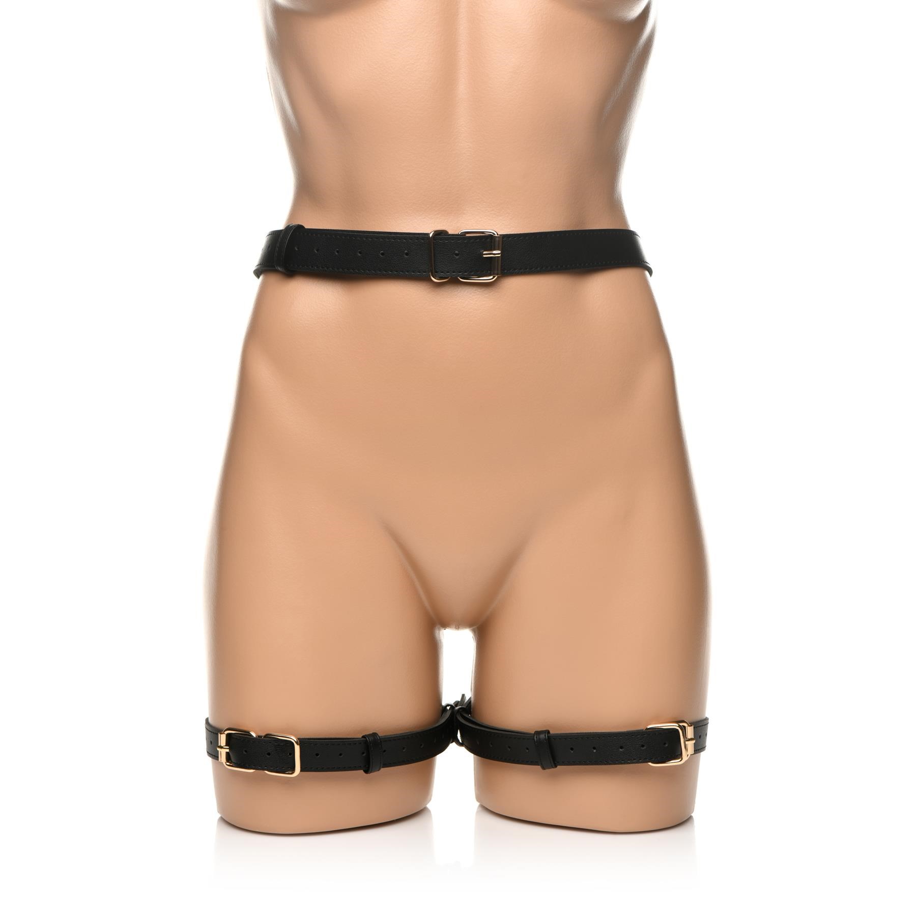 Strict Bondage Harness With Bows - Front Shot