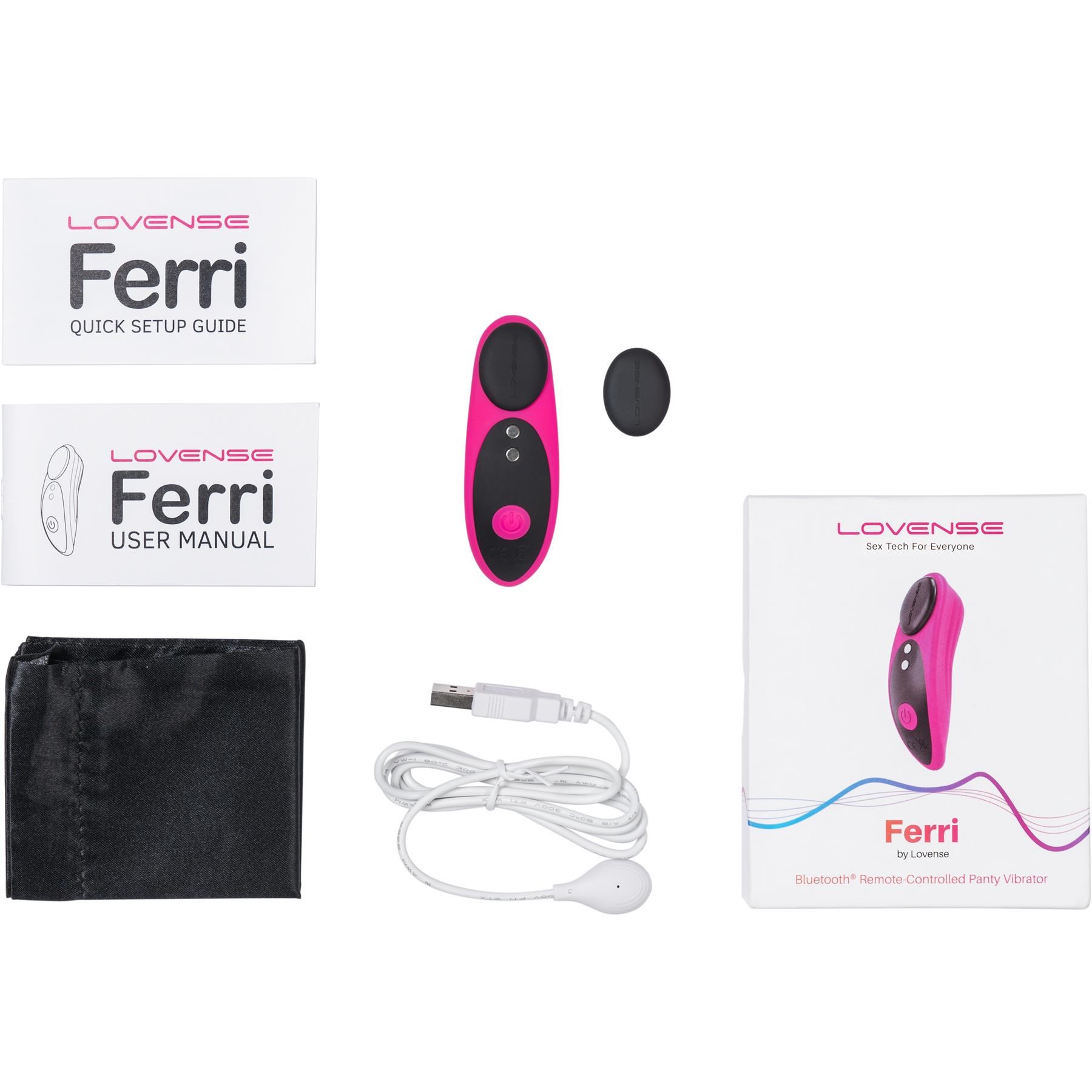 Lovense Ferri Bluetooth Panty Vibrator - All Components