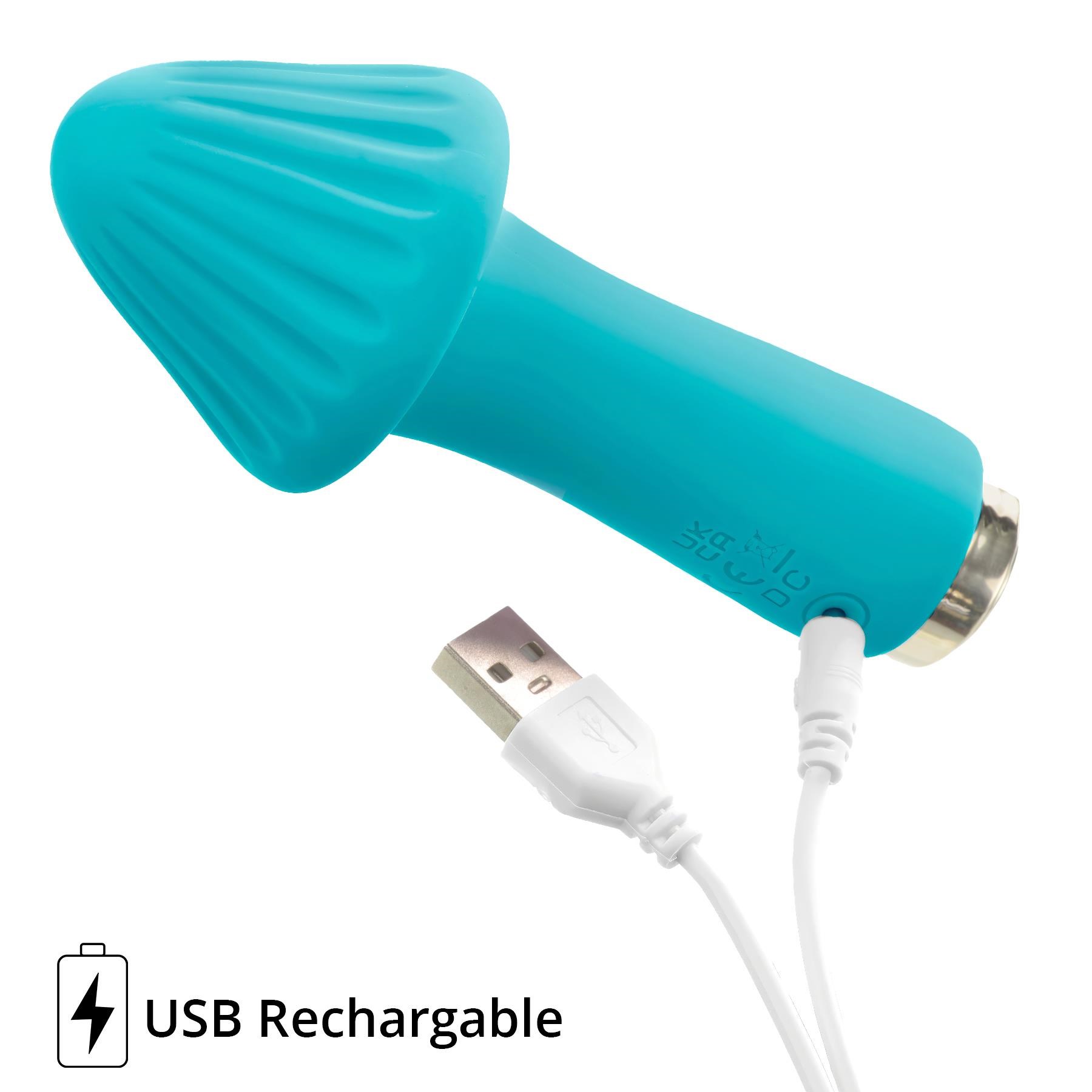 My Secret Shroom Vibrator - Product Shot with Charging Cable