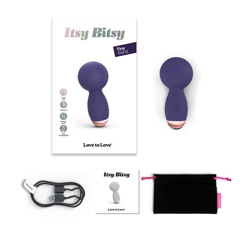 Itsy Bitsy Tiny Wand Massager - All Components