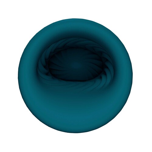 LELO F1S V3 teal