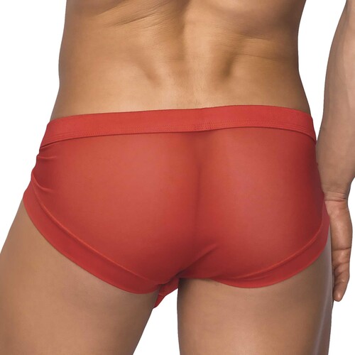 HOSER SHEER STRETCH POUCH4