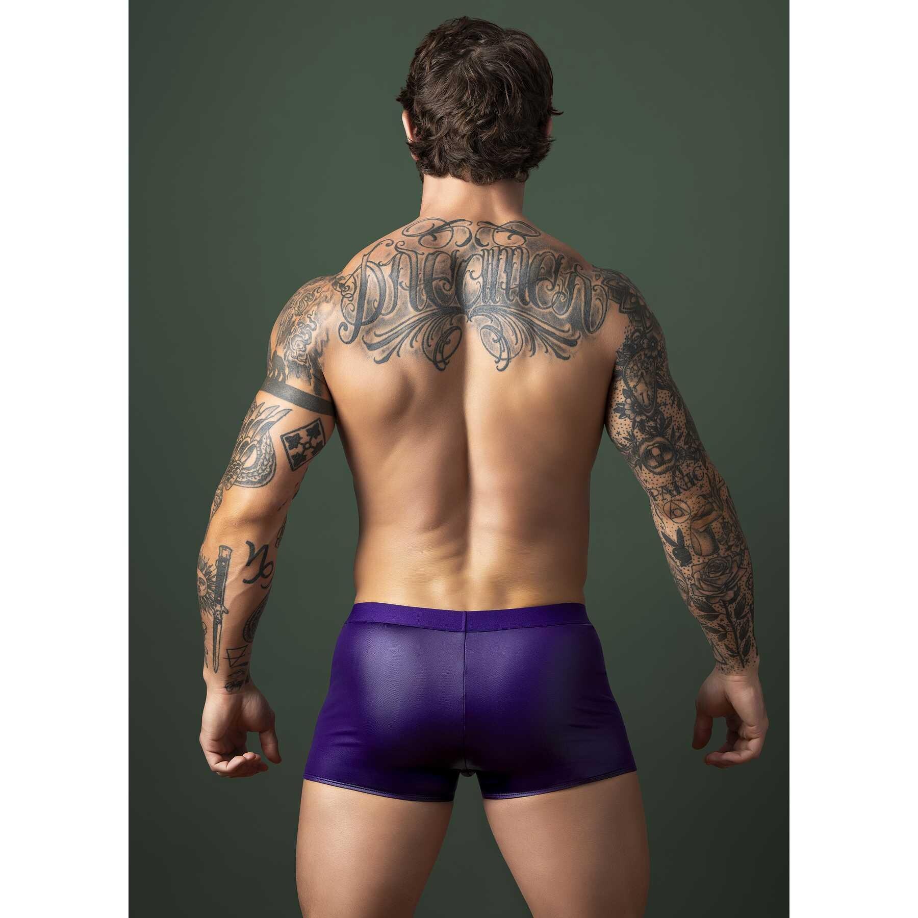 PURPLE REIN CROSSOVER BOXER 5