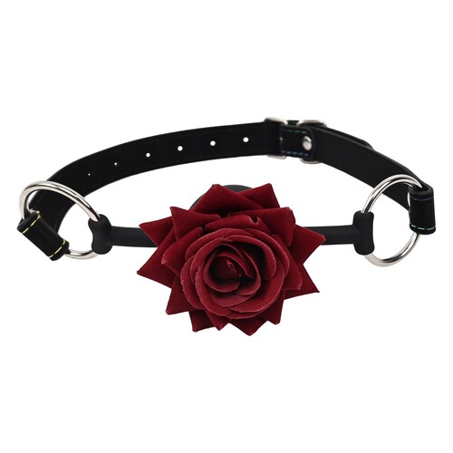ADAM & EVE RAVISHING ROSE COUPLES KIT WITH BALL GAG