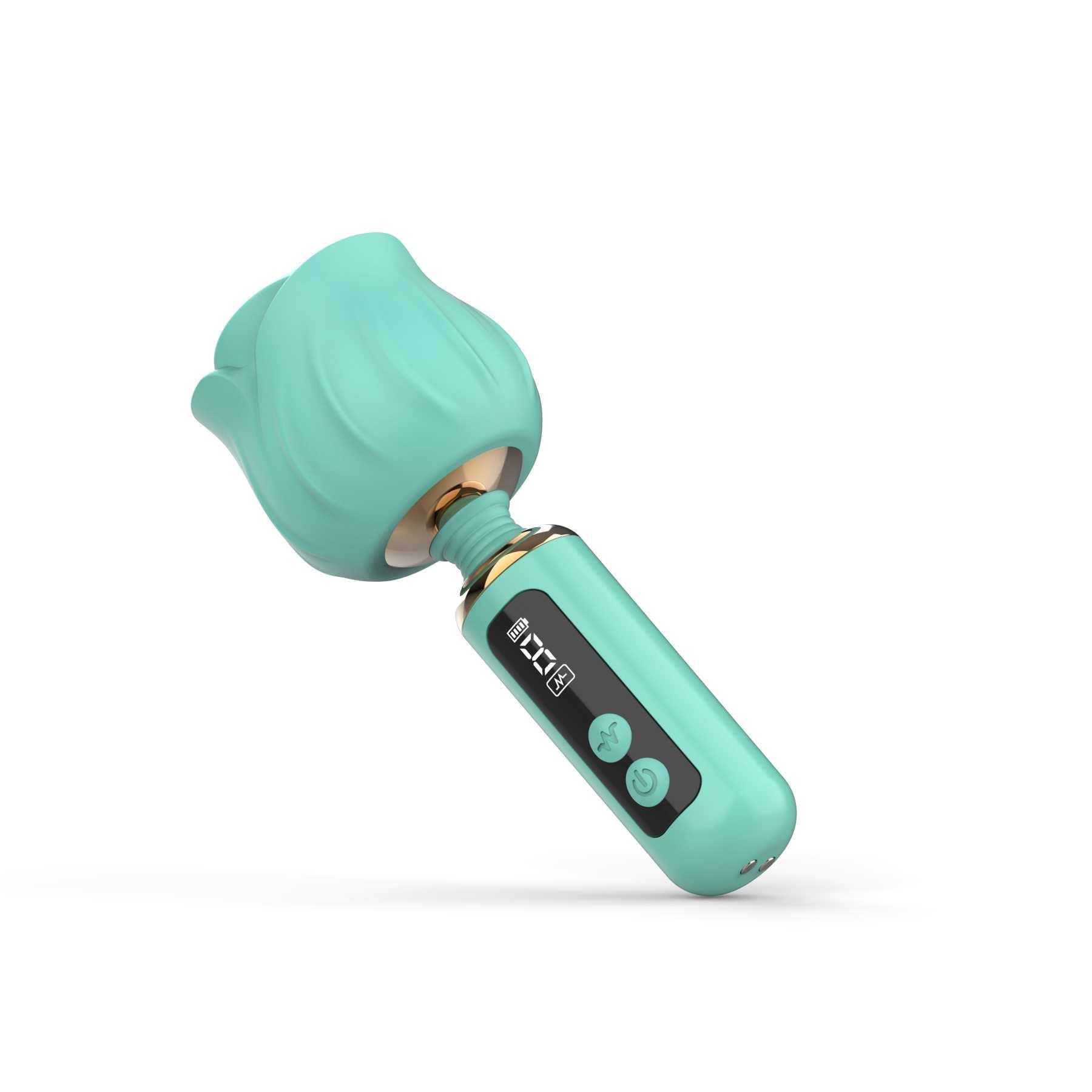 Adam & Eve Rizzy Rose Digital Mini Wand - Powder Blue
