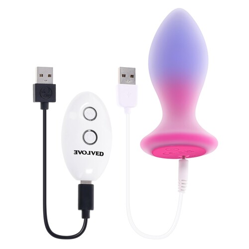Paradise Anal Vibrator With Remote showing chargers