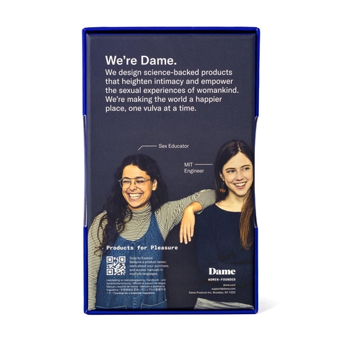 DAME LAY PANTY VIBE showing history of company