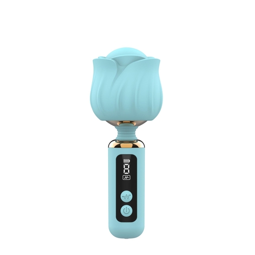 Adam & Eve Rizzy Rose Digital Mini Wand - Powder Blue