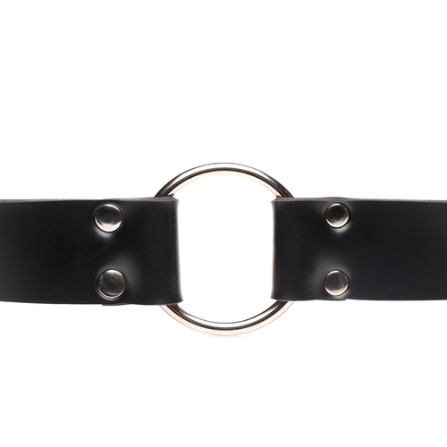 Master Series Strap And Ride Strap Harness showing o ring opening