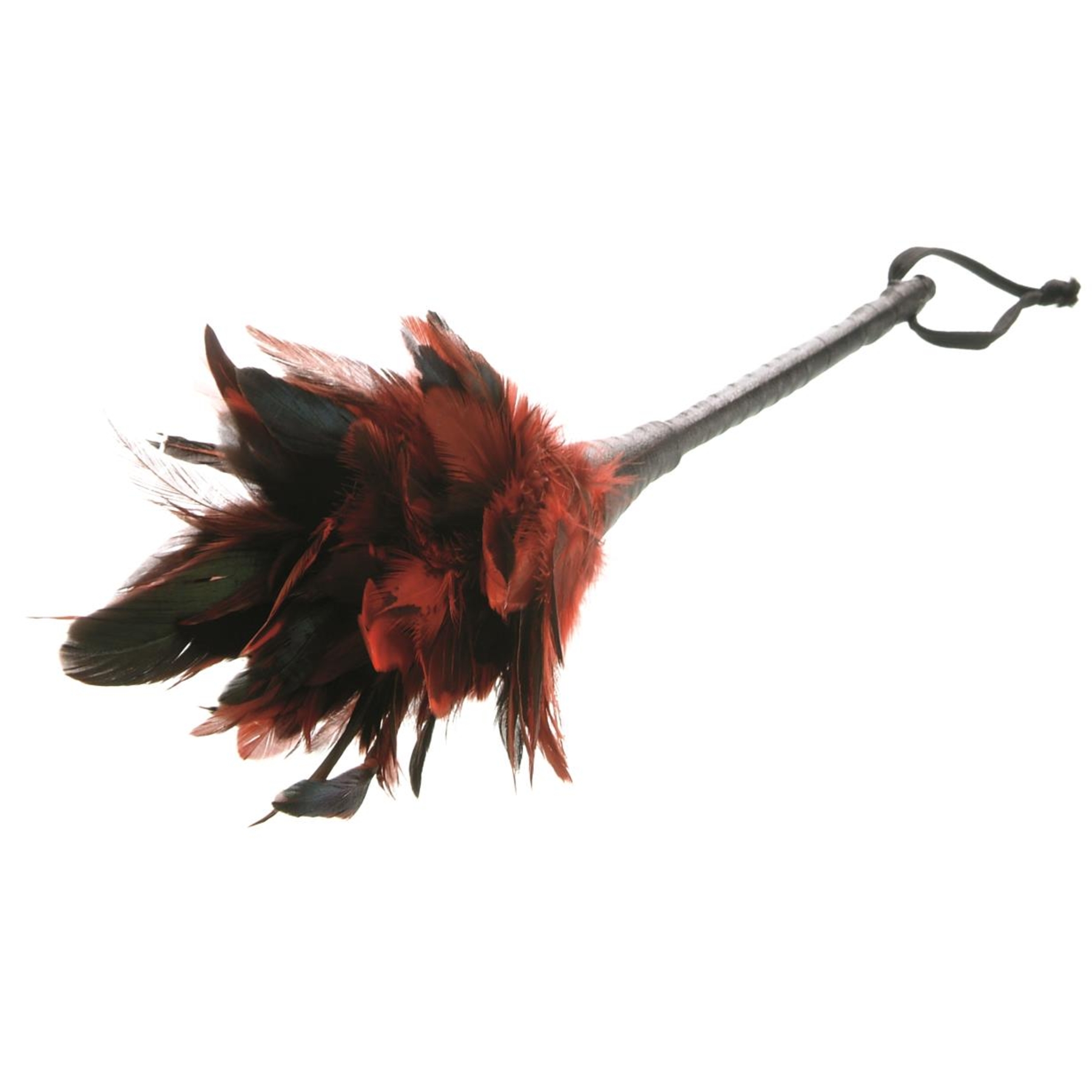 Fetish Fantasy Frisky Feather Duster view 2