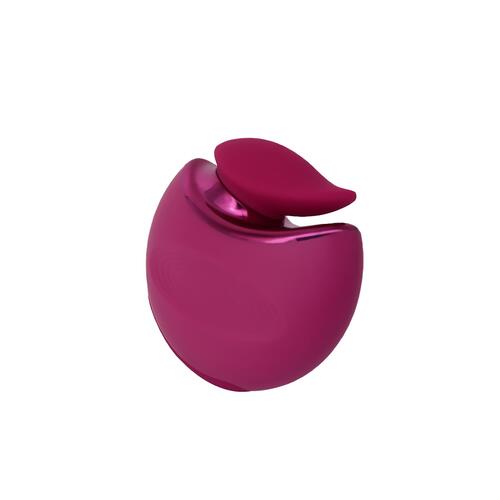 Cache Vibrator With Compact Storage Case - Product Shot - Outside of Case