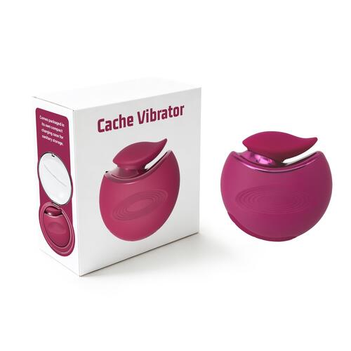Cache Vibrator With Compact Storage Case - Product and Packaging