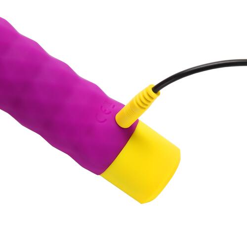 Romp Bullet view 5